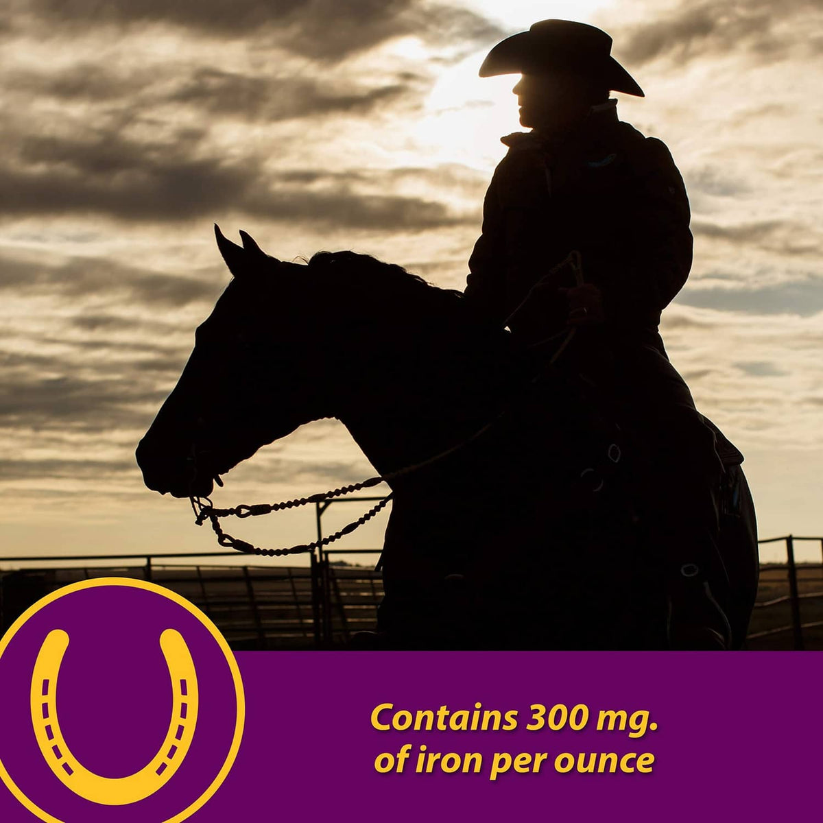 Horse and rider silhouetted at sunset in an outdoor arena