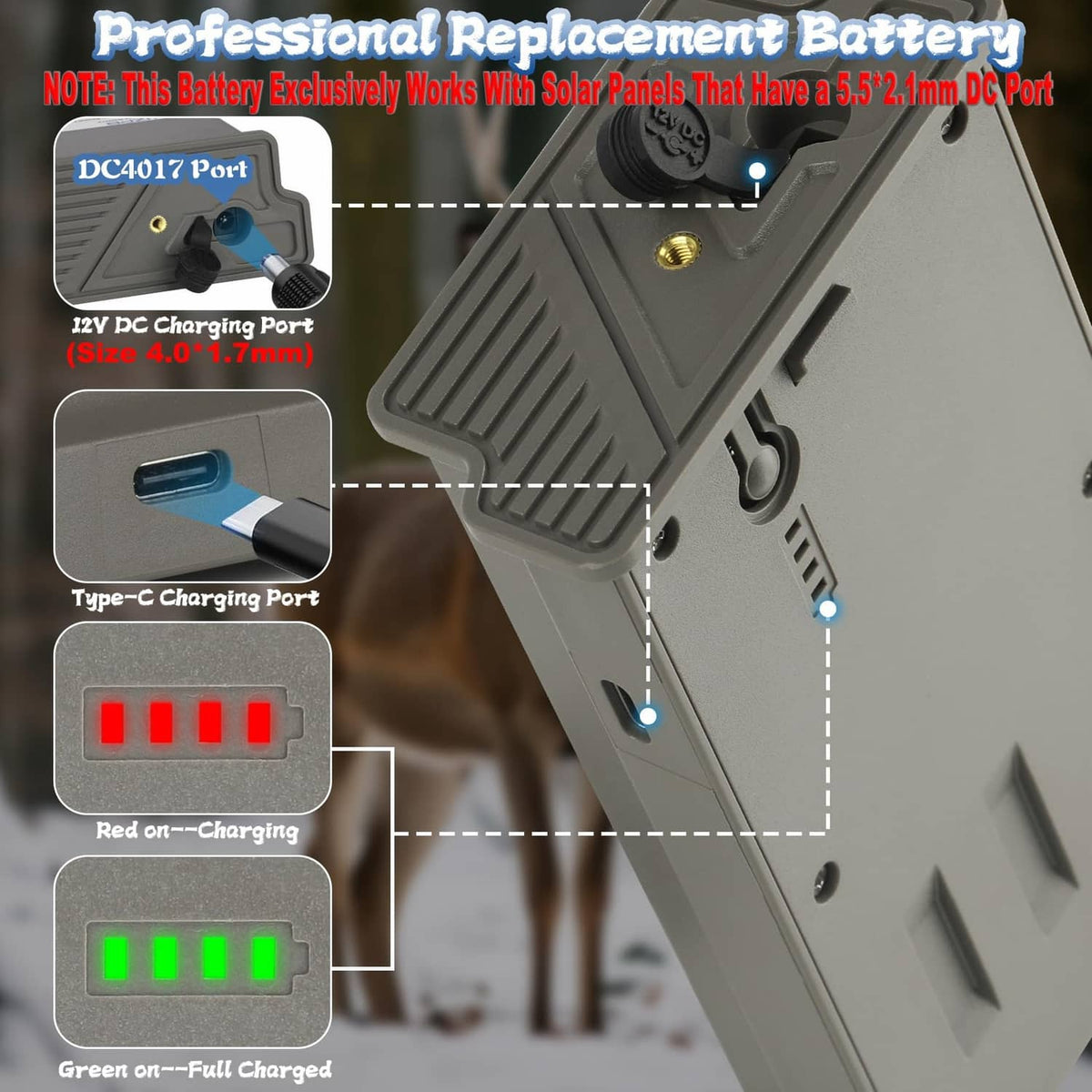Gray battery pack with DC 12V and Type-C charging ports and LED charge indicators