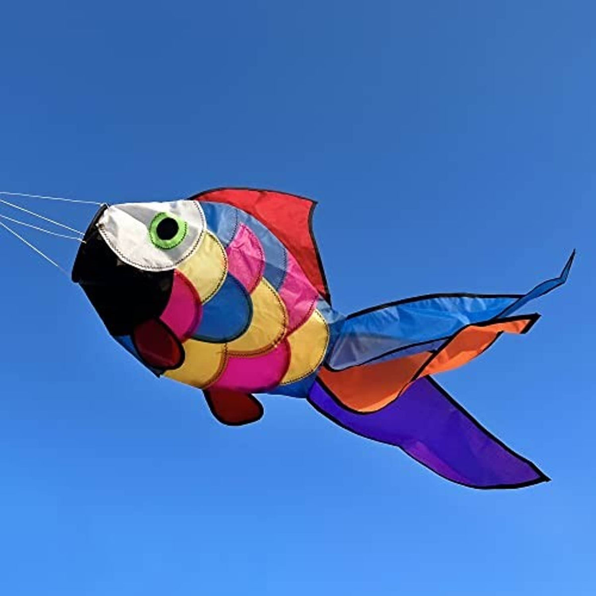 Rainbow fish windsock with open mouth and green eye, showing purple and orange tail panels
