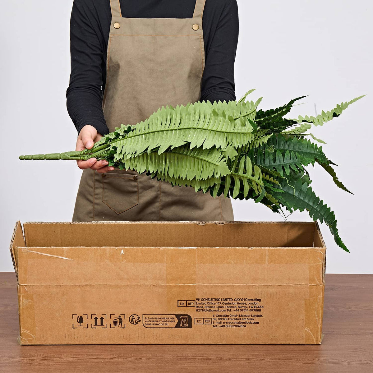 Artificial green fern plant being removed from shipping box by a person
