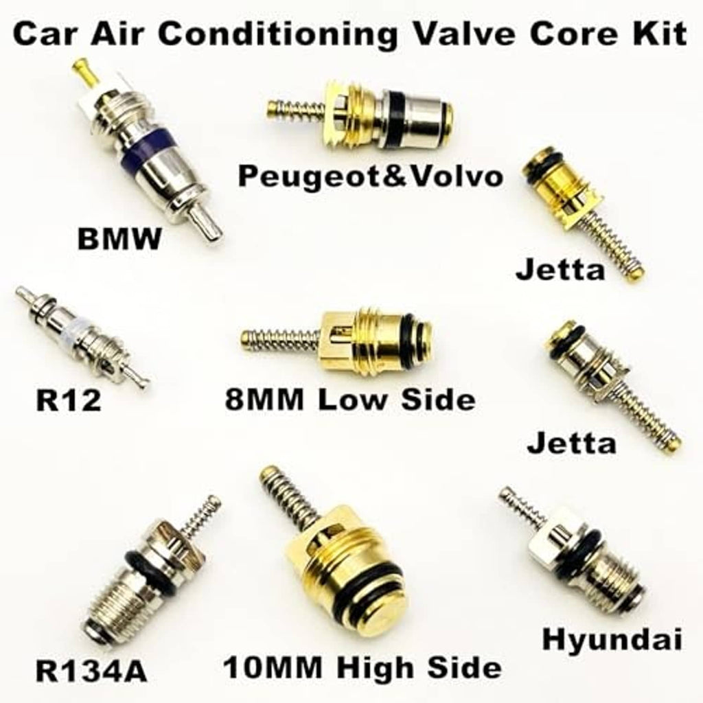 Assorted A/C valve cores for BMW, Hyundai, Jetta, Peugeot&Volvo labeled R12 and R134A