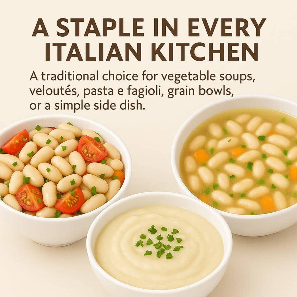 White cannellini beans with bowls of bean soup and creamy puree