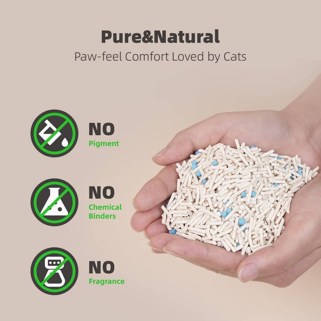 Hand holding white cat litter pellets with blue specks