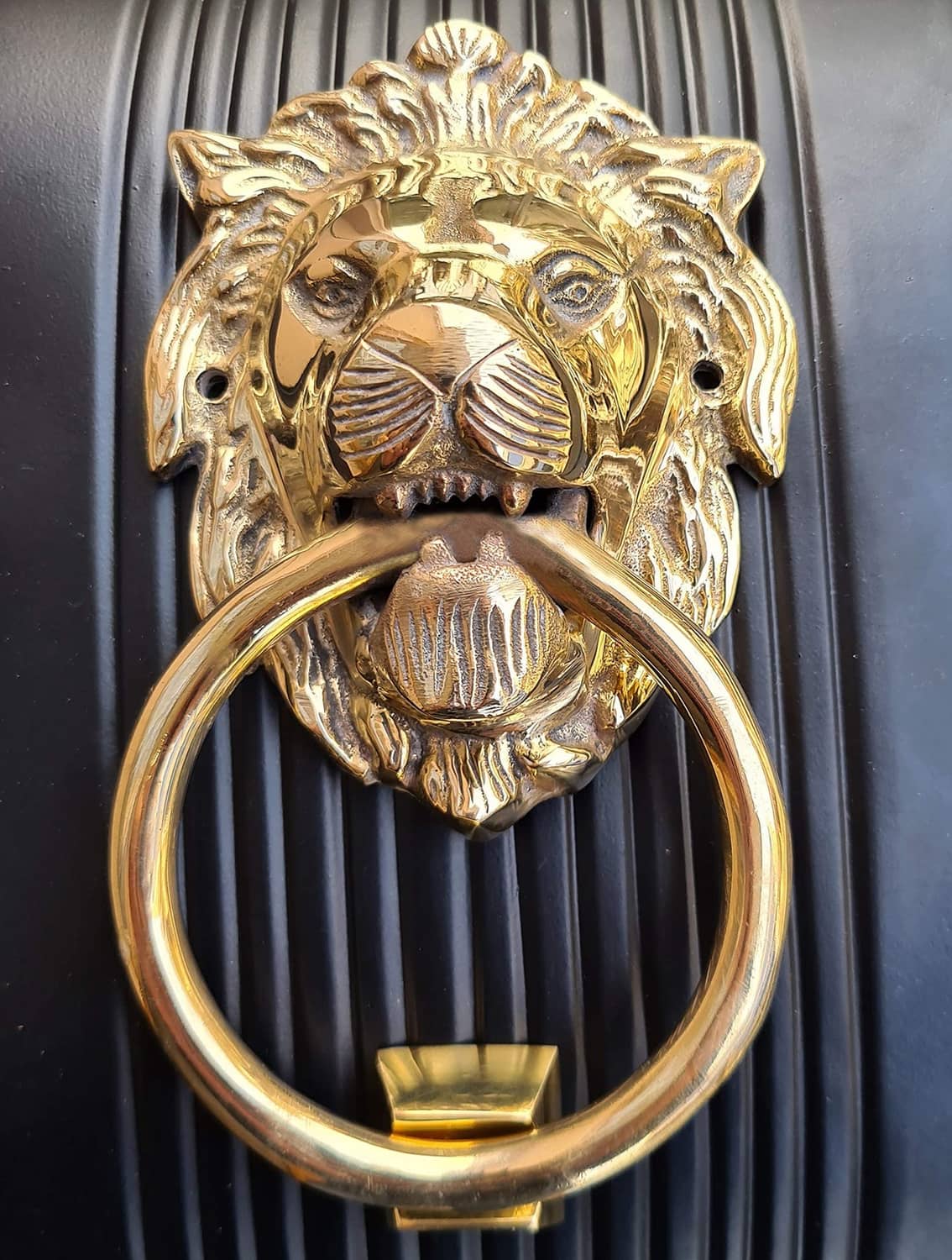 Brass lion door knocker mounted on a dark door with circular ring and lion head