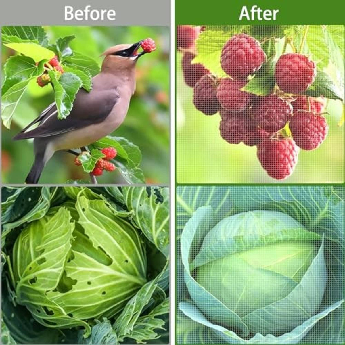 Garden mesh netting barrier shown covering fruit and vegetables, fine grid pattern