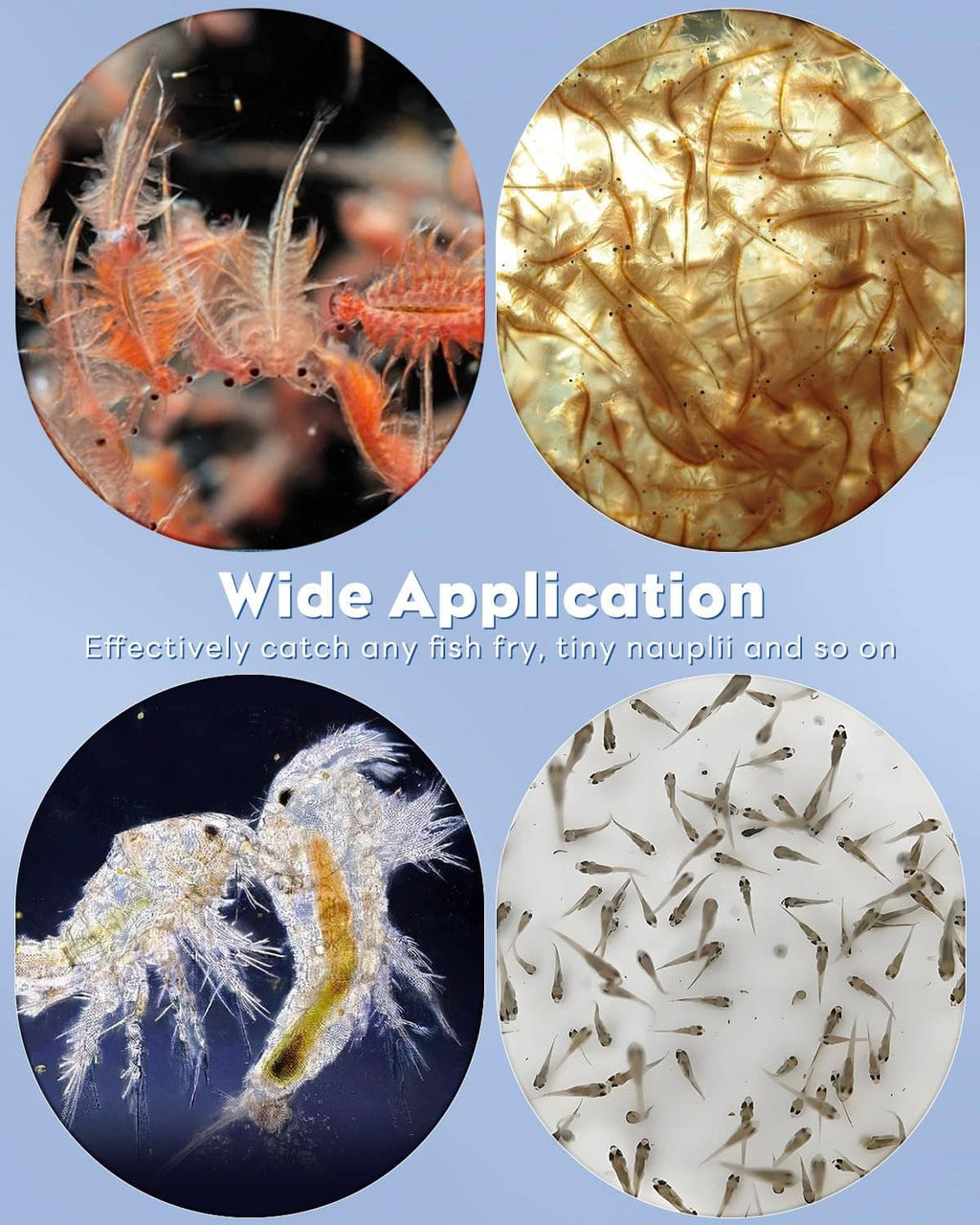 Brine shrimp net kit with fine mesh strainers for catching small fry