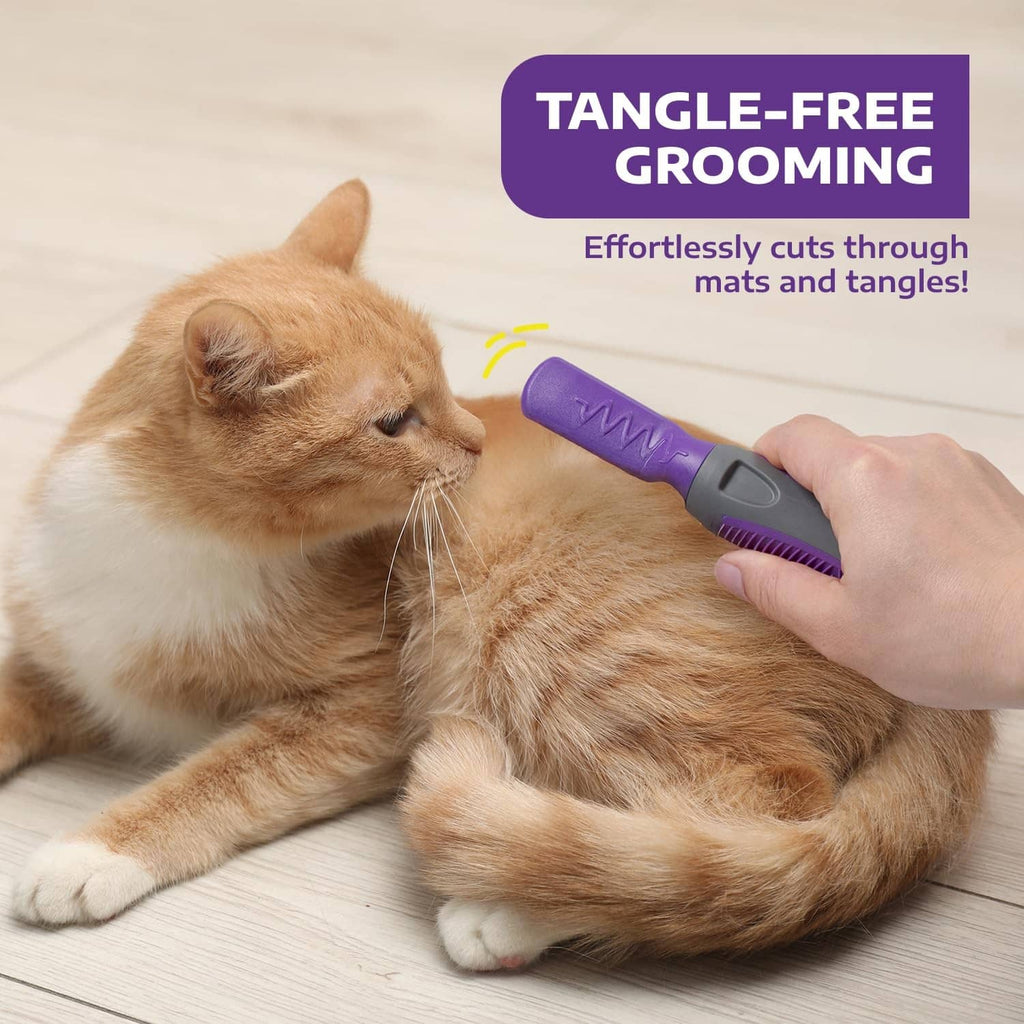 Purple pet dematting tool grooming a cat’s fur, metal teeth near whiskers