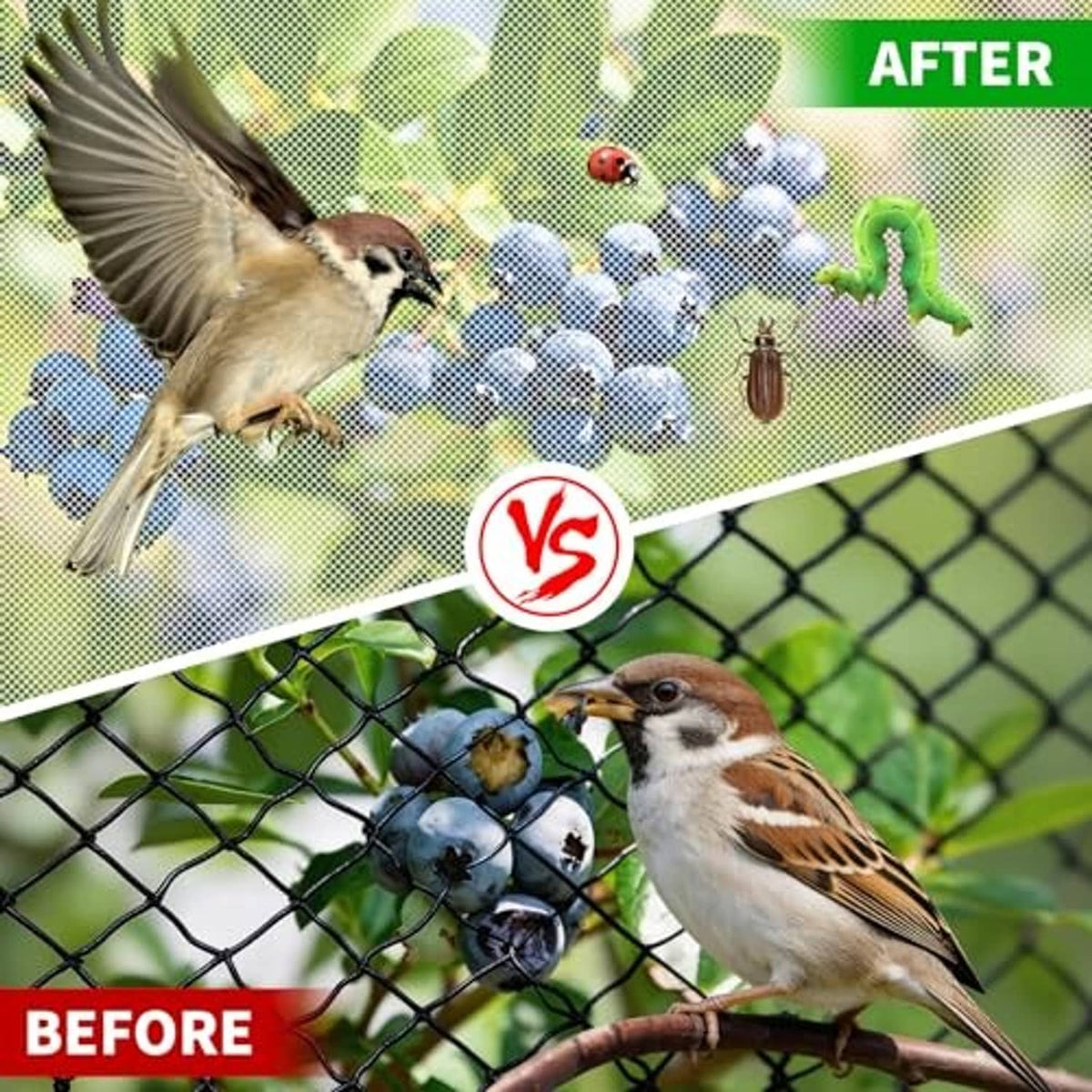 Garden mesh netting barrier helping protect plants from birds and pests