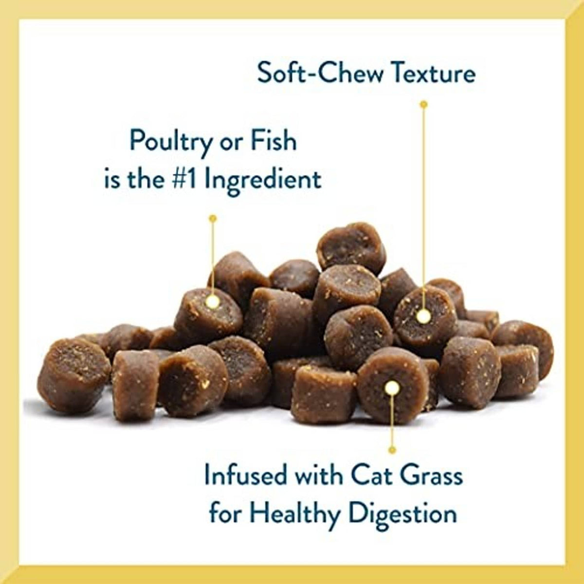 Brown semi-moist cat treat bites with cat grass digestion infographic