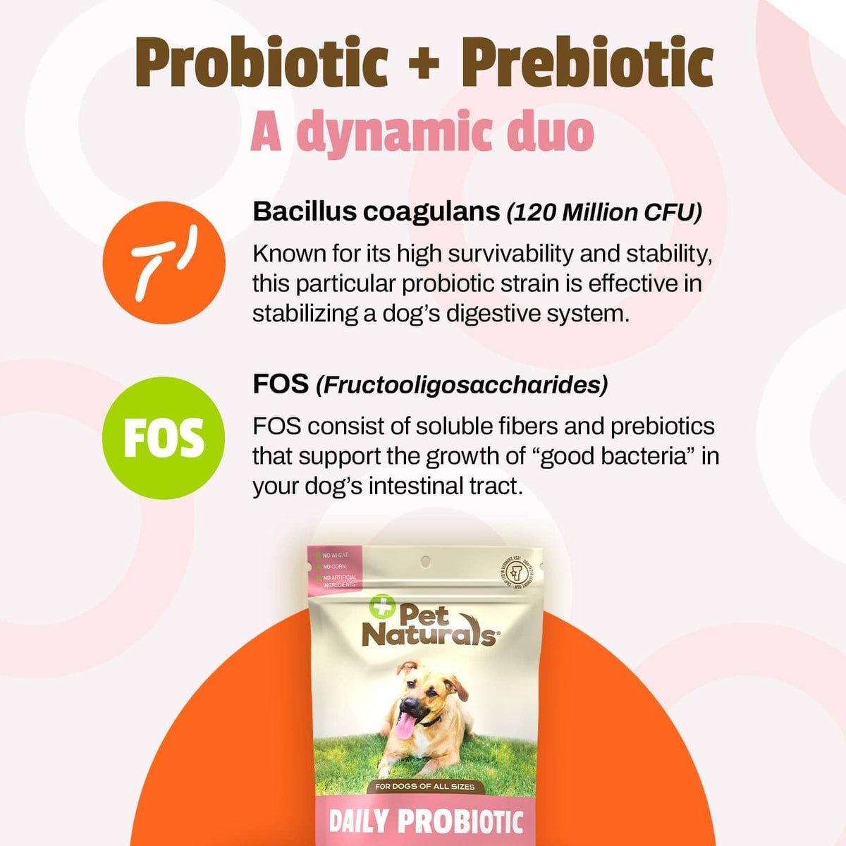 Pet Naturals Daily Probiotic pouch with probiotic + prebiotic label and brown chew pieces