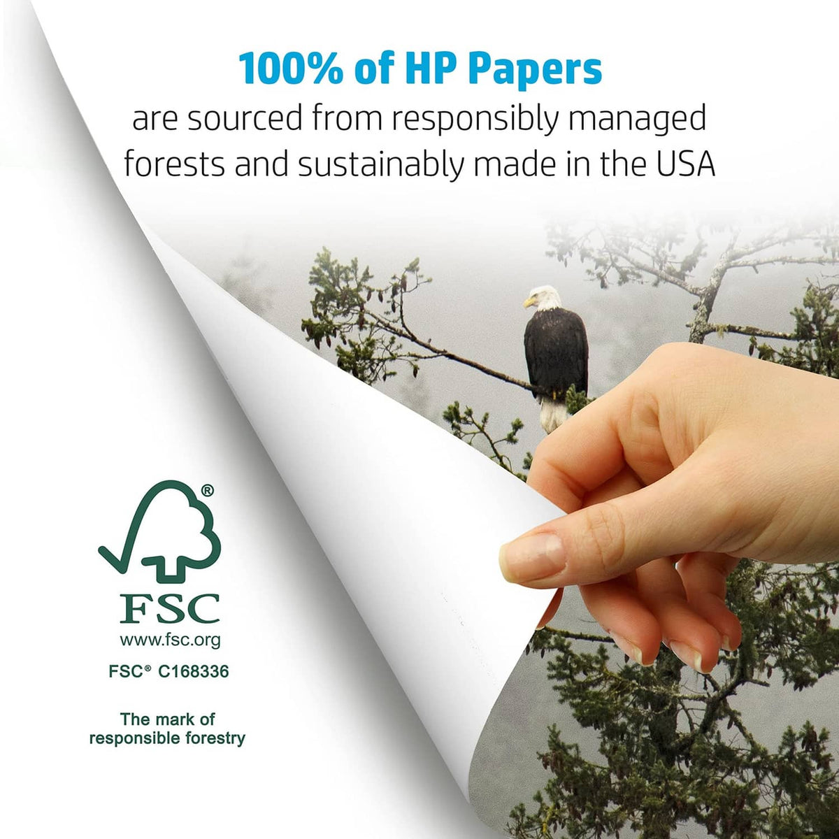 HP Office20 paper sheet with FSC logo and responsibly managed forest text