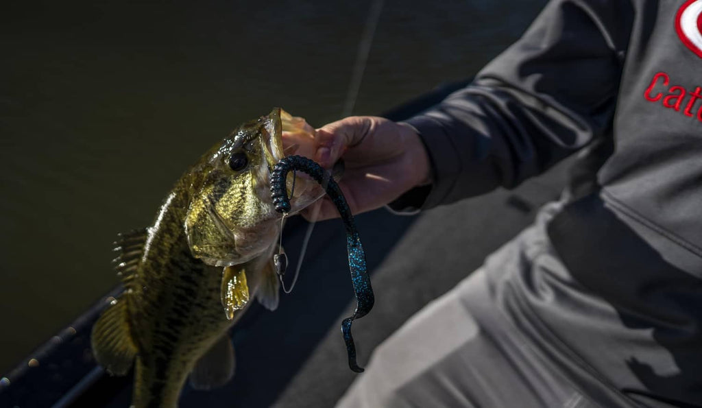 Soft fishing worm lure, dark blue and black segmented body held on hook