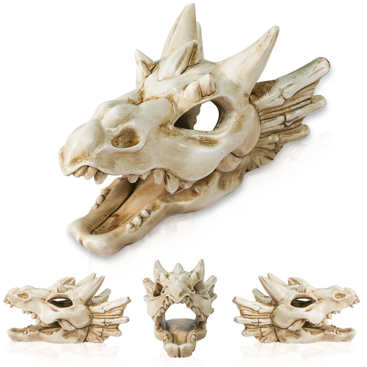 White dragon skull ornament with open jaw, winged ribs, and detailed teeth