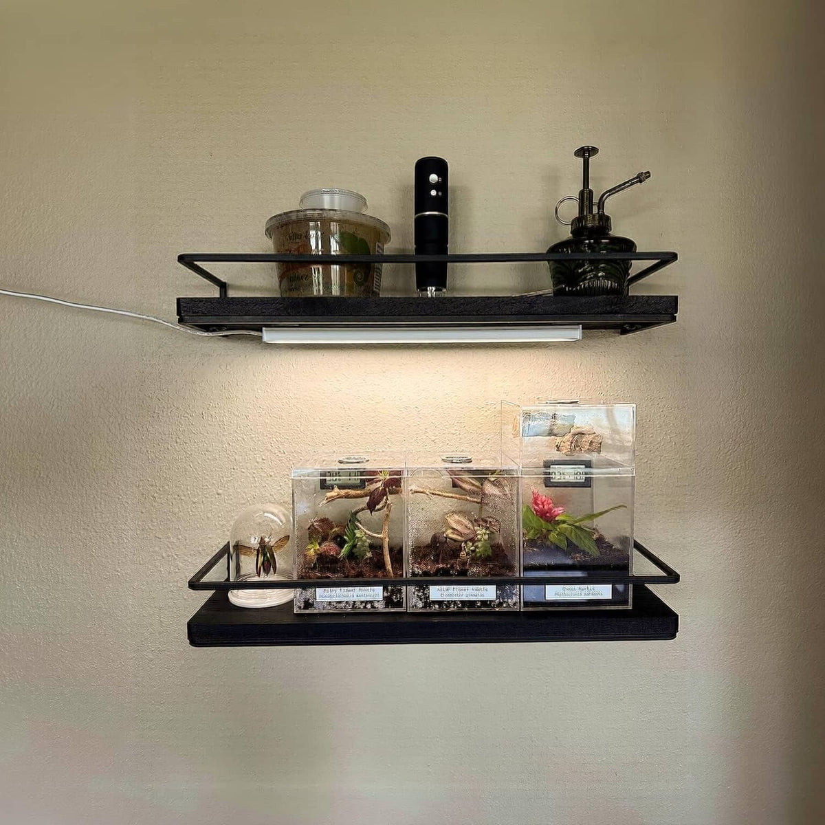 Under-cabinet LED light bar installed under a shelf, warm light illuminating items