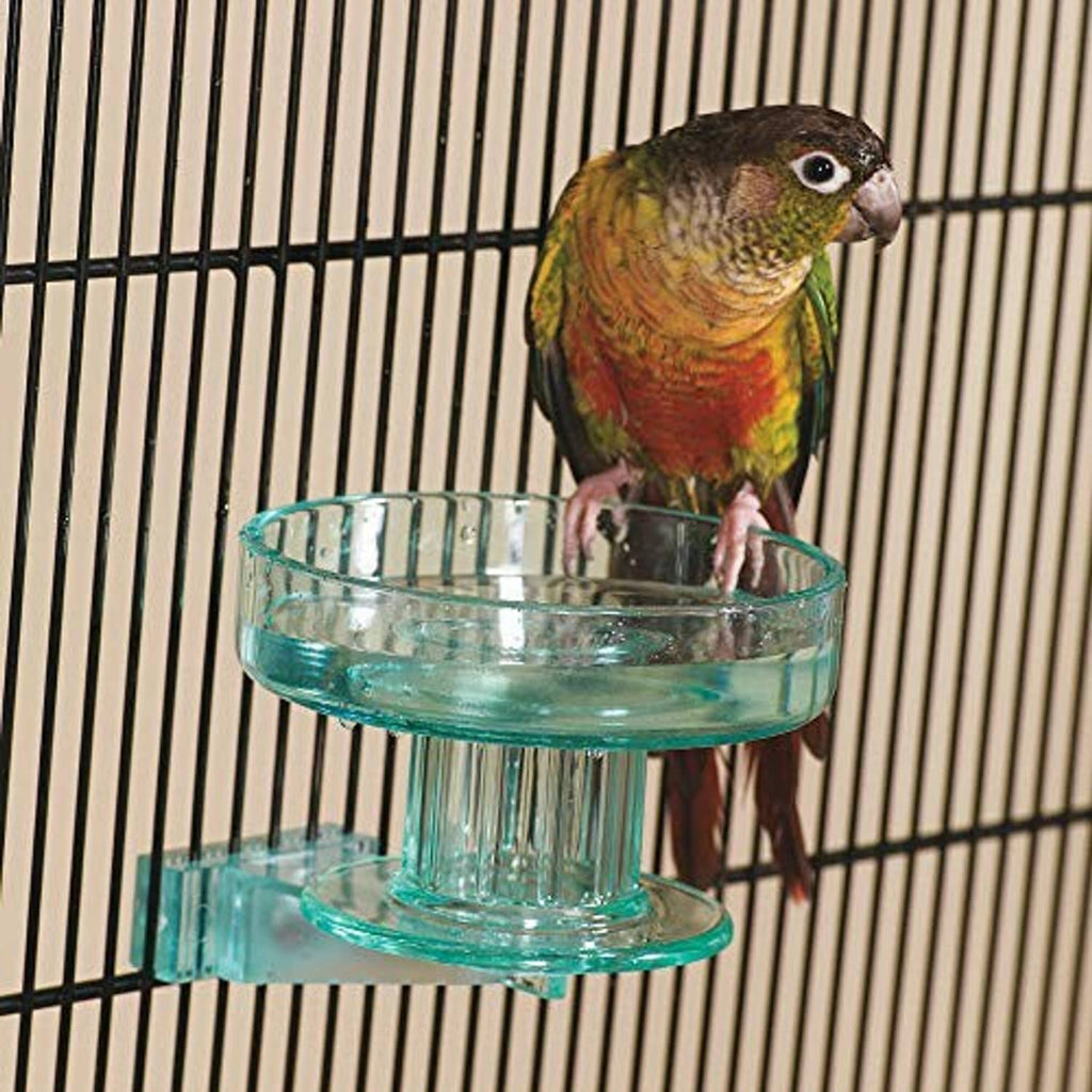 Small parrot perched next to a turquoise bird bath mounted in a cage