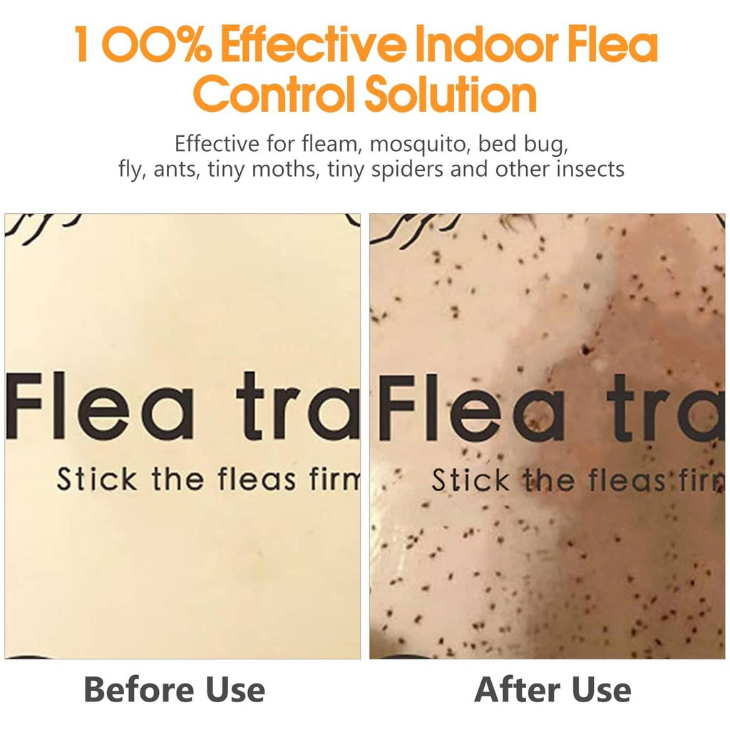 Flea trap sticky pad refills before vs after use, showing particles caught