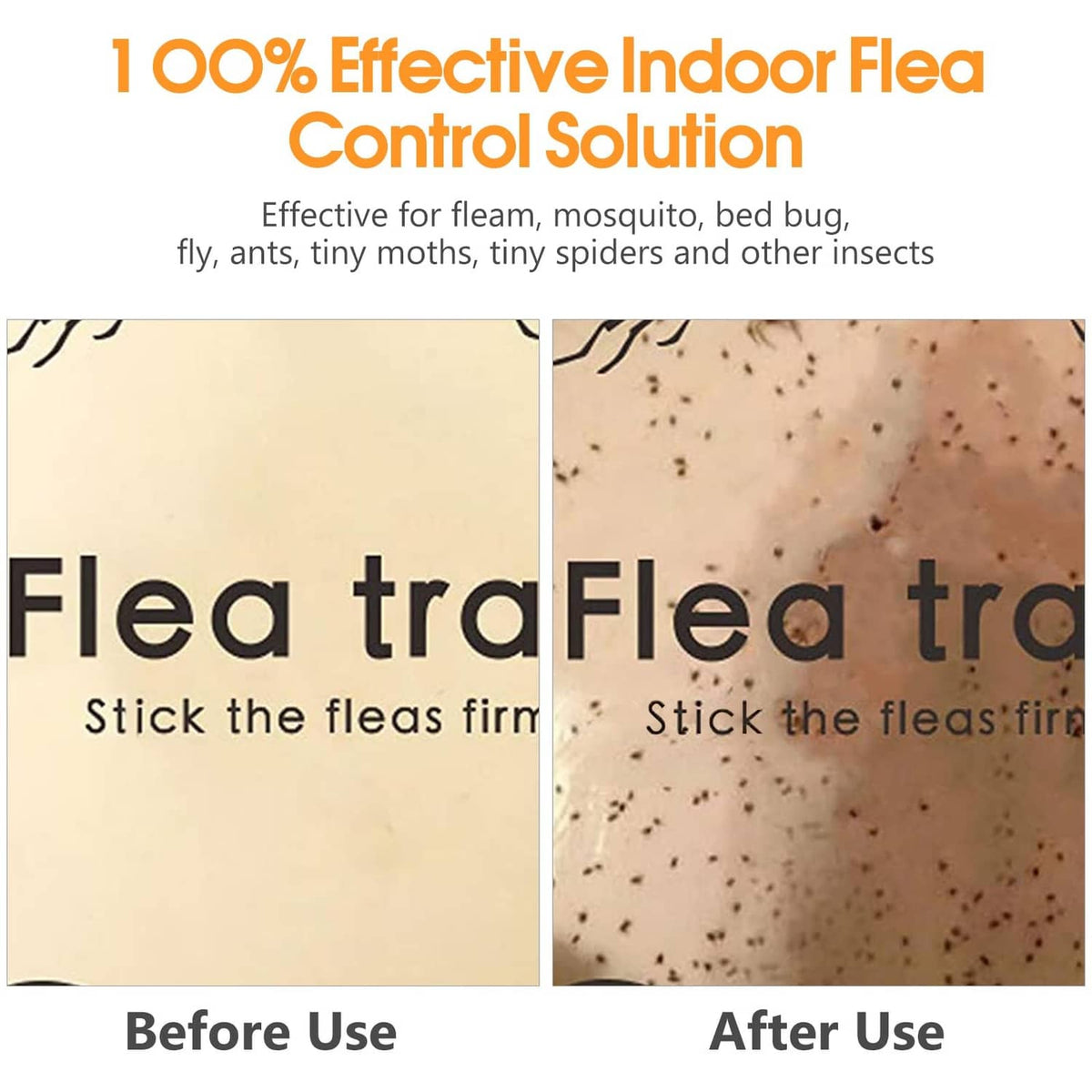 Flea trap sticky pad refills before vs after use, showing particles caught