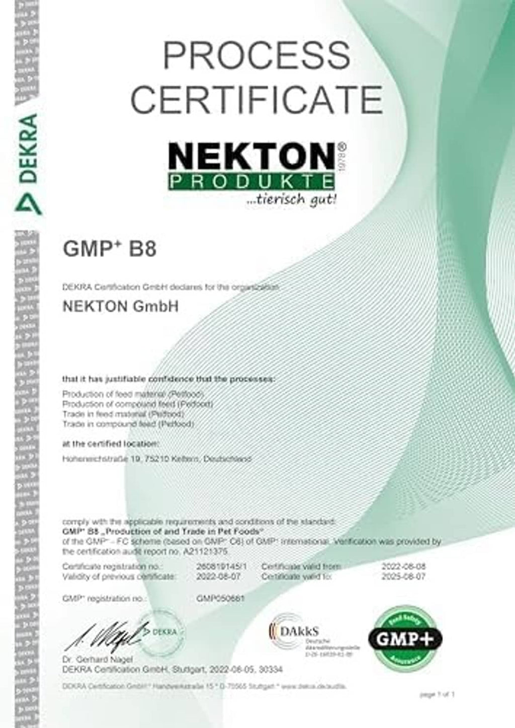 Process certificate for NEKTON GmbH showing GMP+ B8 and DEKRA branding