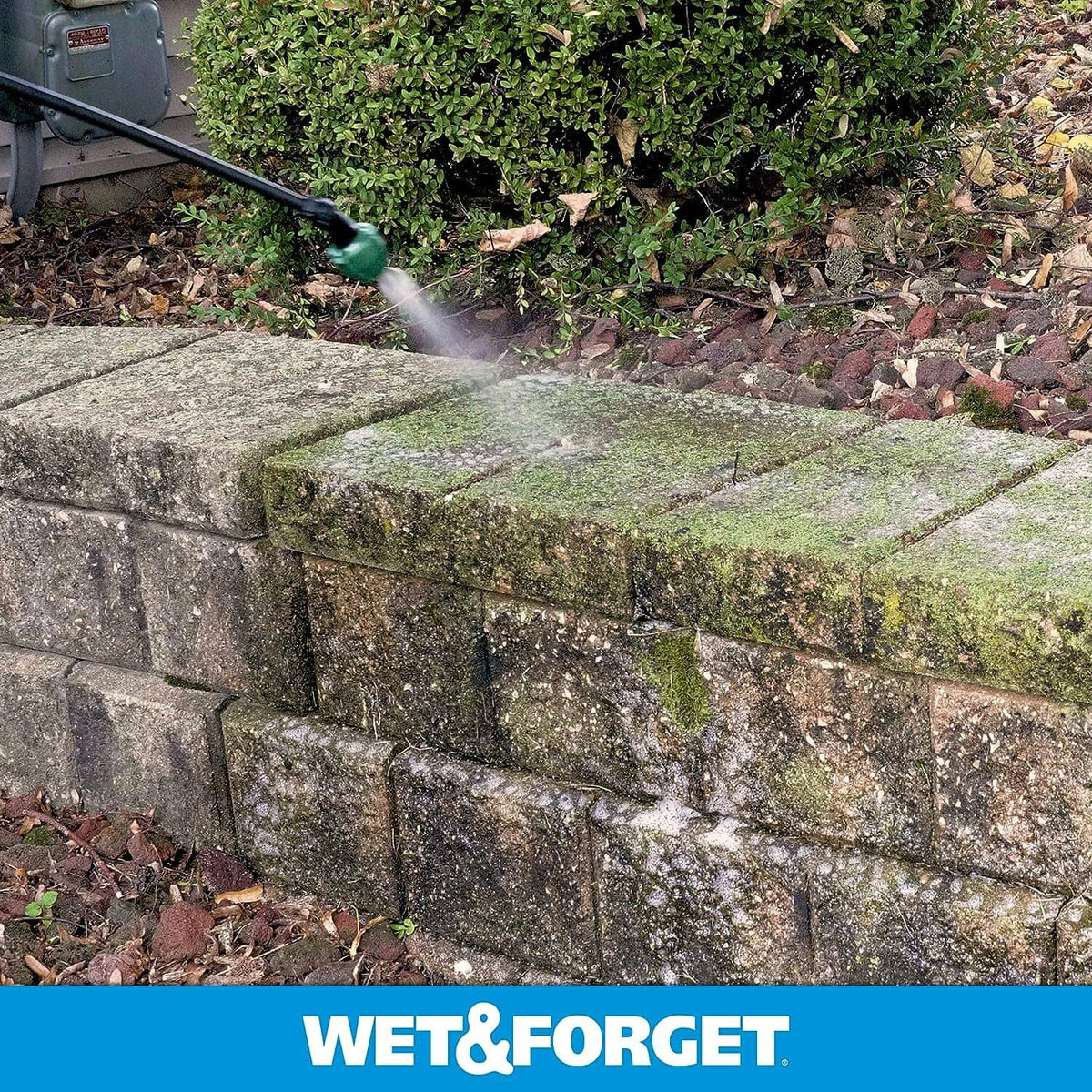Outdoor stone steps with green moss and algae staining, pressure washing applied