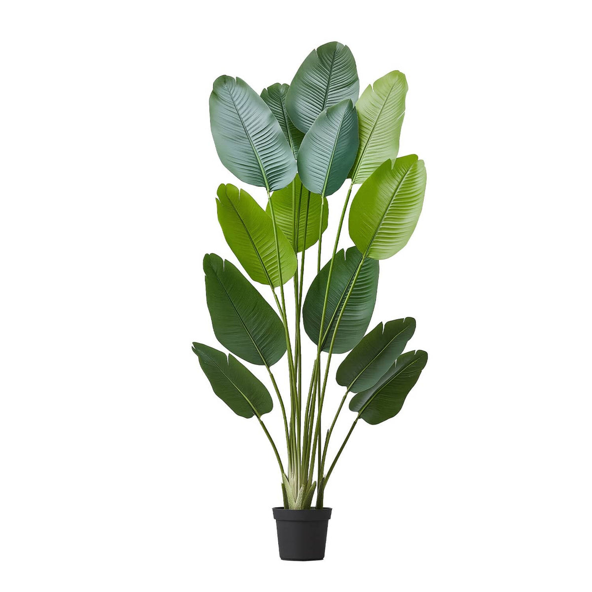 Close-up faux bird of paradise tree with multiple green leaves in black pot