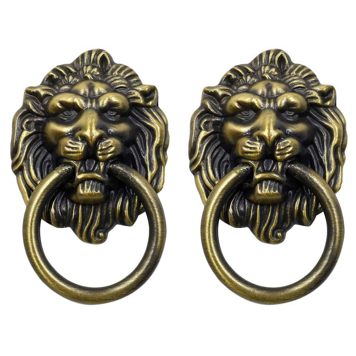 Pair of bronze lion head cabinet knobs with ring handles, detailed front view