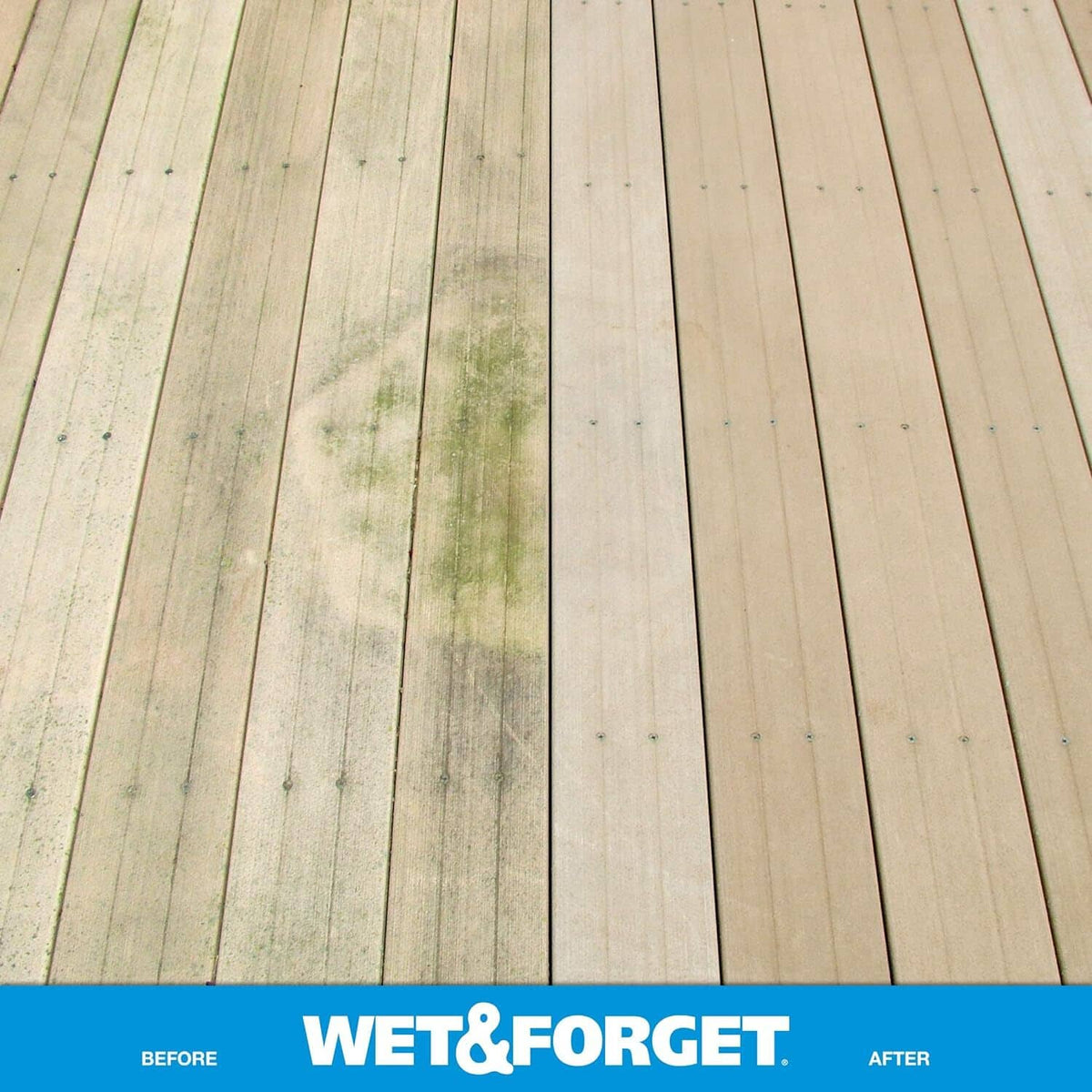Wood deck boards with green moss staining, outdoor treated surface