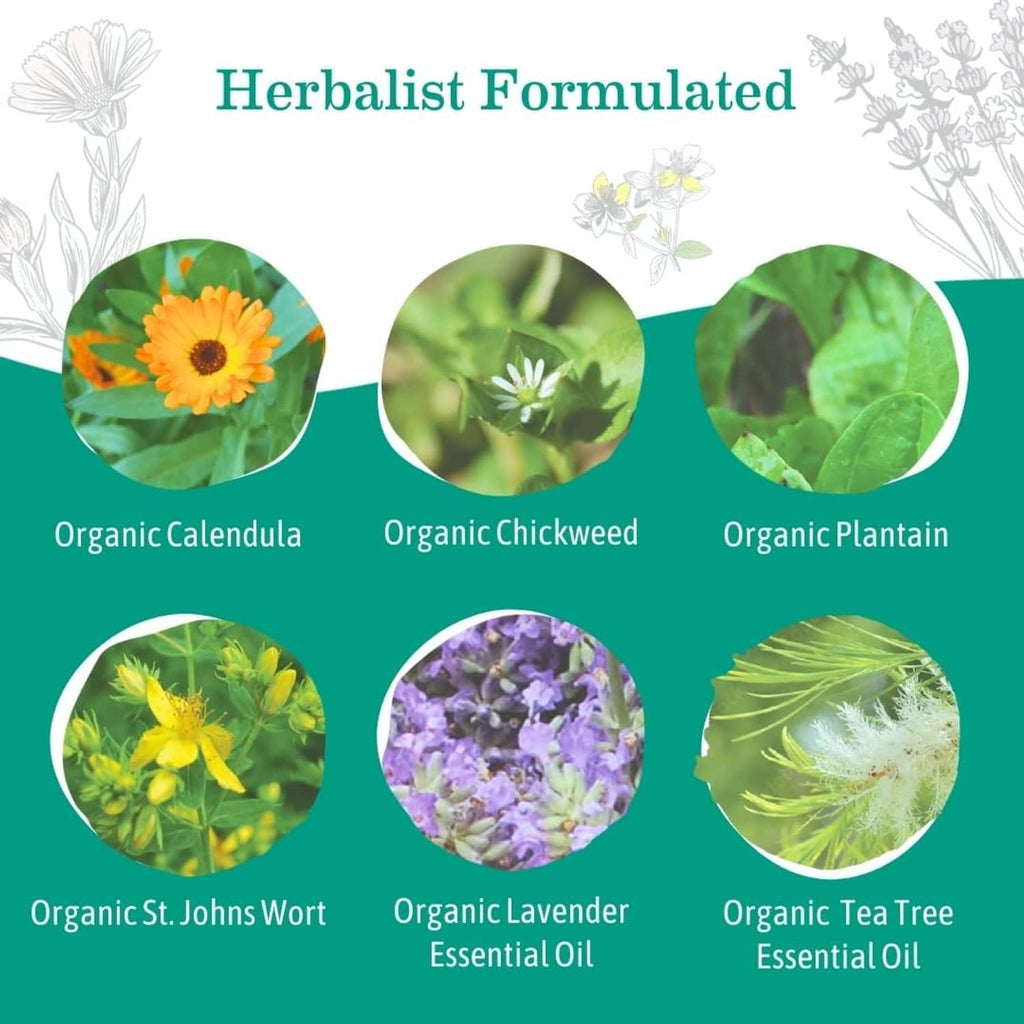 Herbal ingredient collage for organic diaper balm with flower and herb callouts