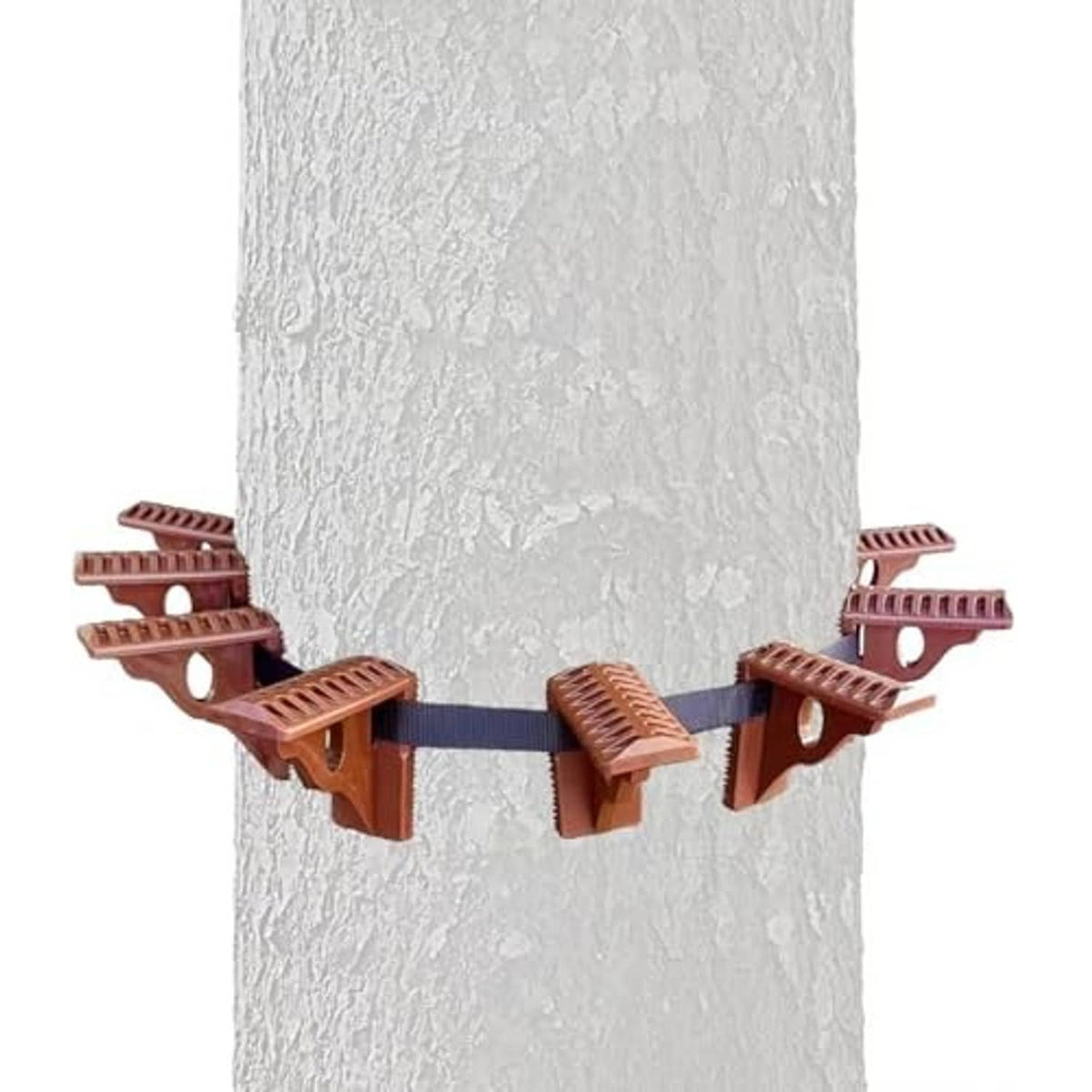 Four brown tree step pegs with blue strap, mounted around a trunk