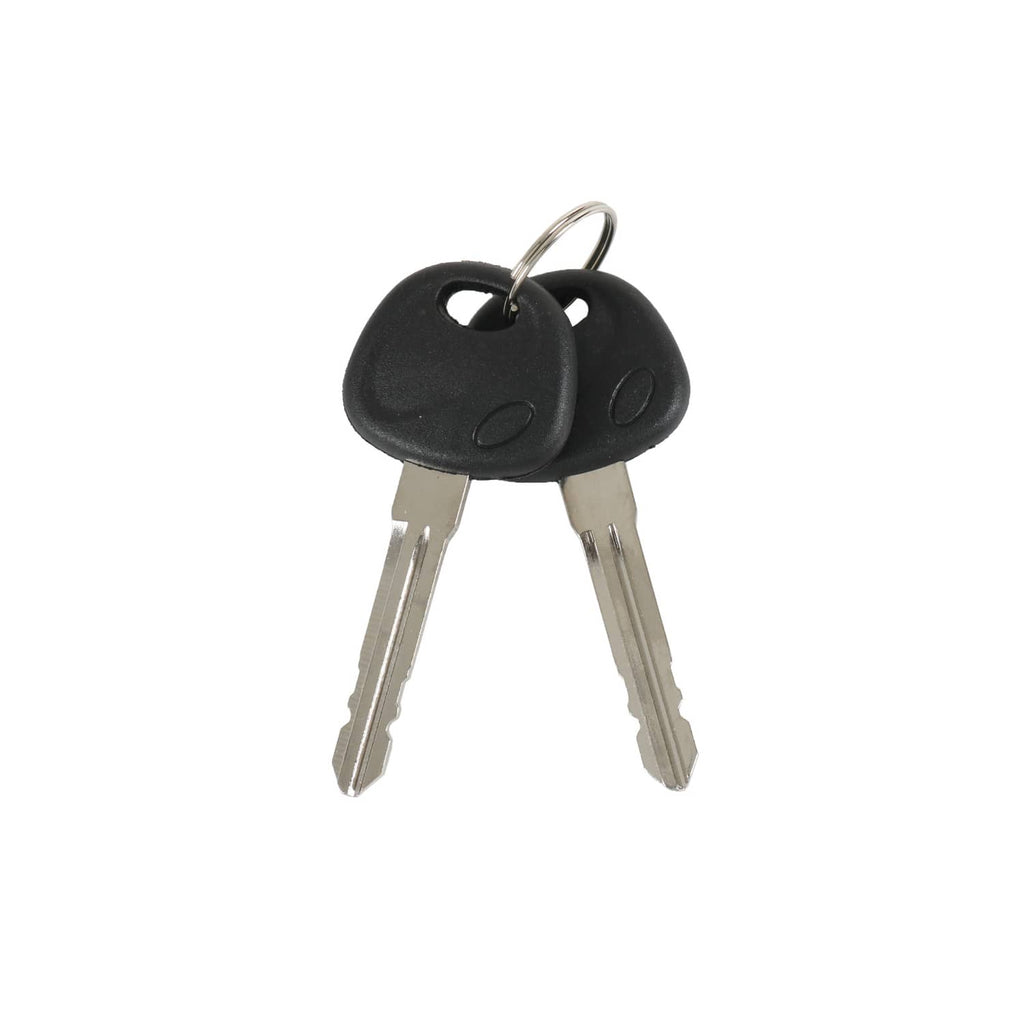 Two black ignition keys with metal blades on keyring