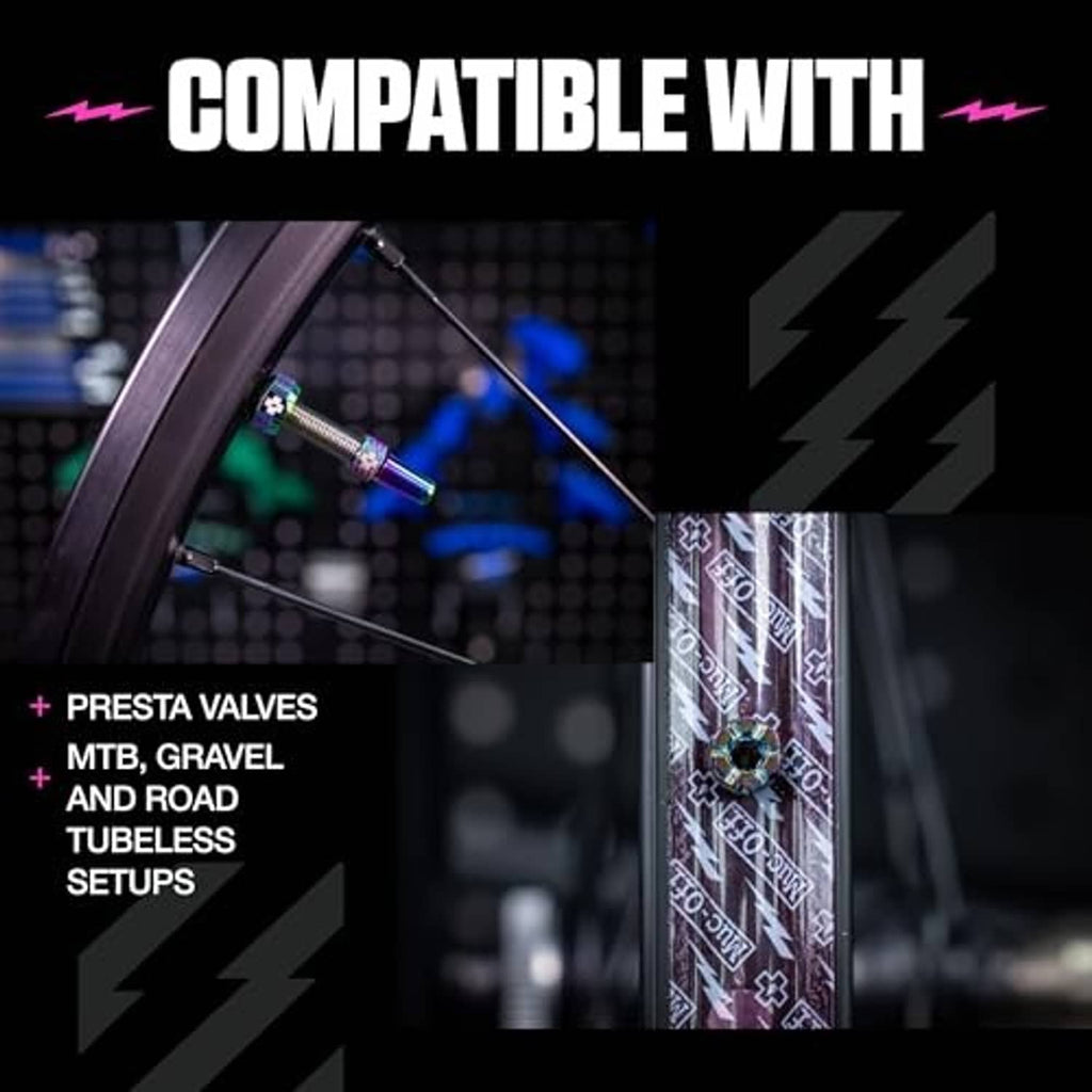 Iridescent tubeless Presta valve with rubber base on a rim