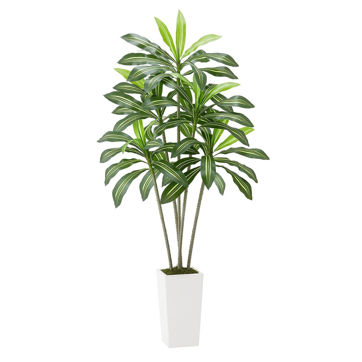 Faux dracaena tree with green leaves in a white square pot for indoor decor