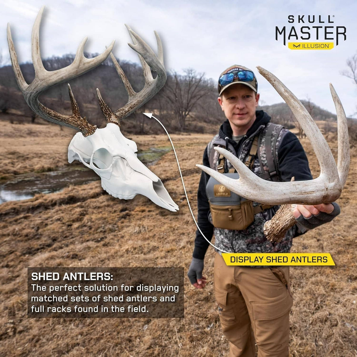 White skull and antler display mount with antlers for outdoor showing