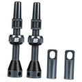Gray Presta tubeless valve stem with black knurled lock nut and two dust caps