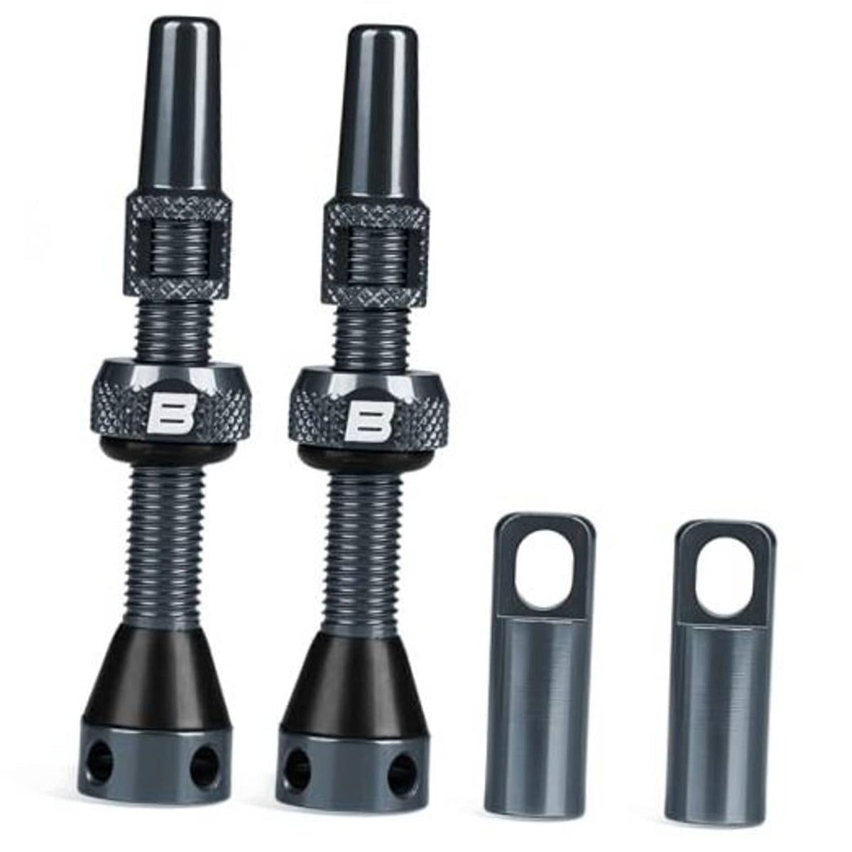 Gray Presta tubeless valve stem with black knurled lock nut and two dust caps