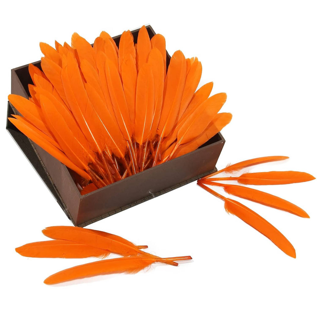 Orange goose feather set in open box, loose plumes with quills