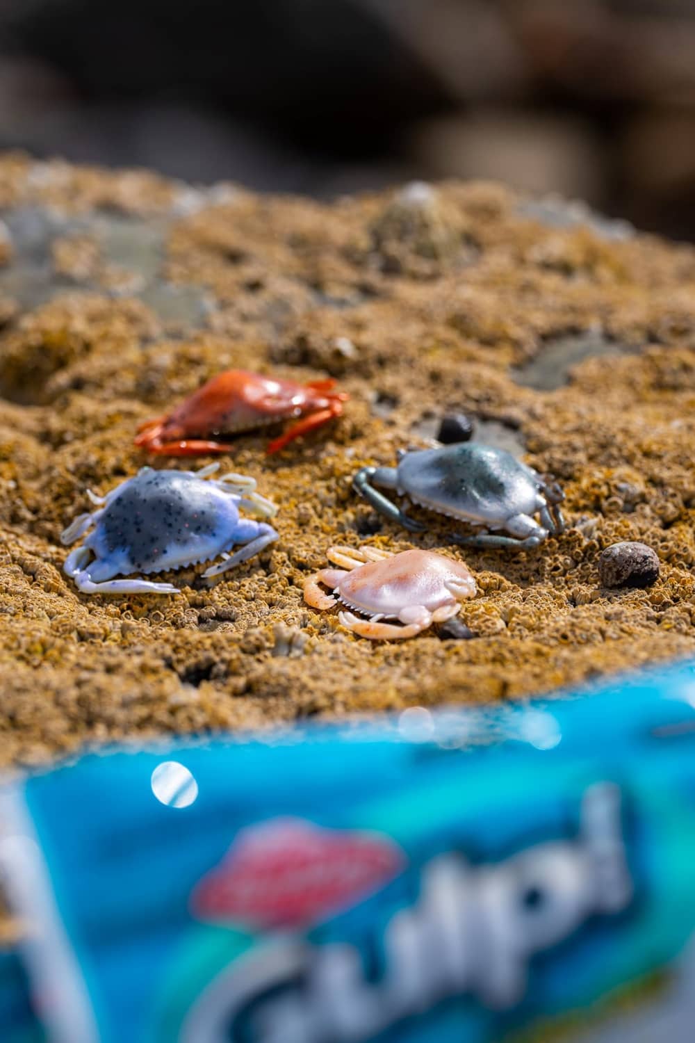 Small crab-shaped soft baits on sand, orange and blue colors