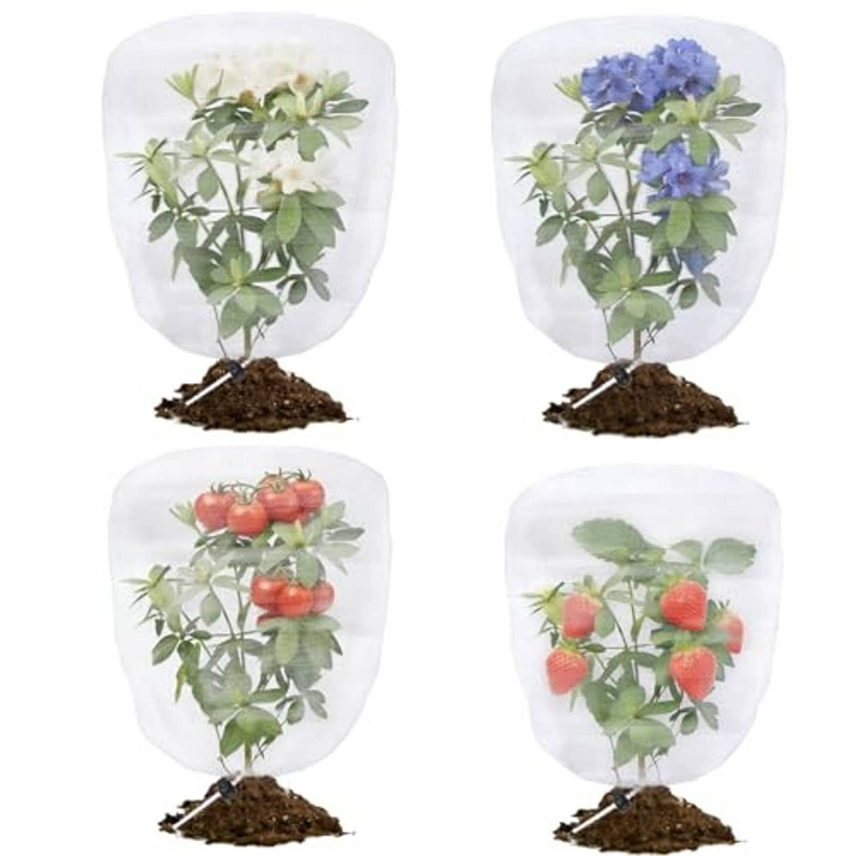 Four clear white drawstring plant netting covers displayed, each filled with different plants