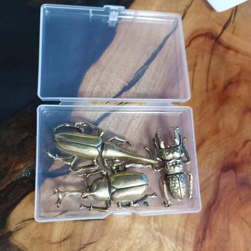 Miniature brass beetle ornaments in a clear storage box, hinged-lid container