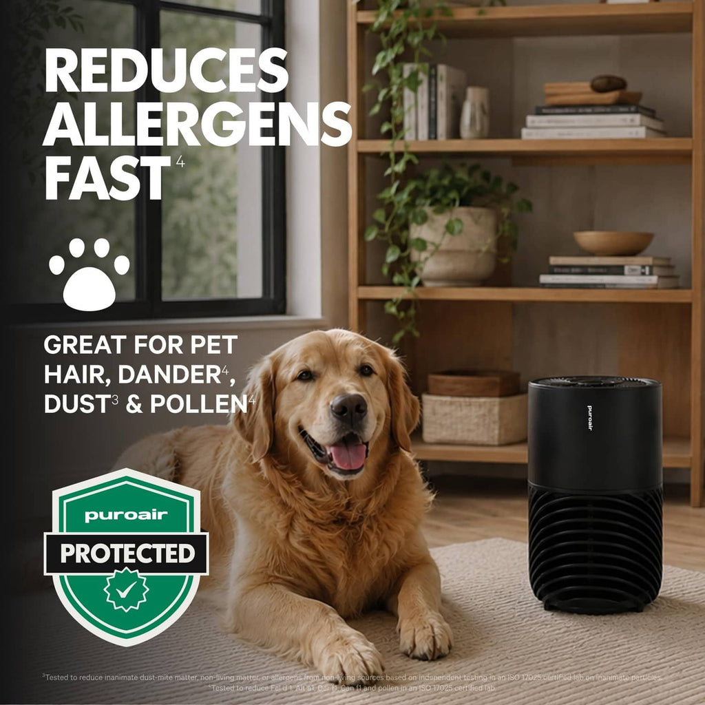 Black air purifier on floor next to golden retriever near window