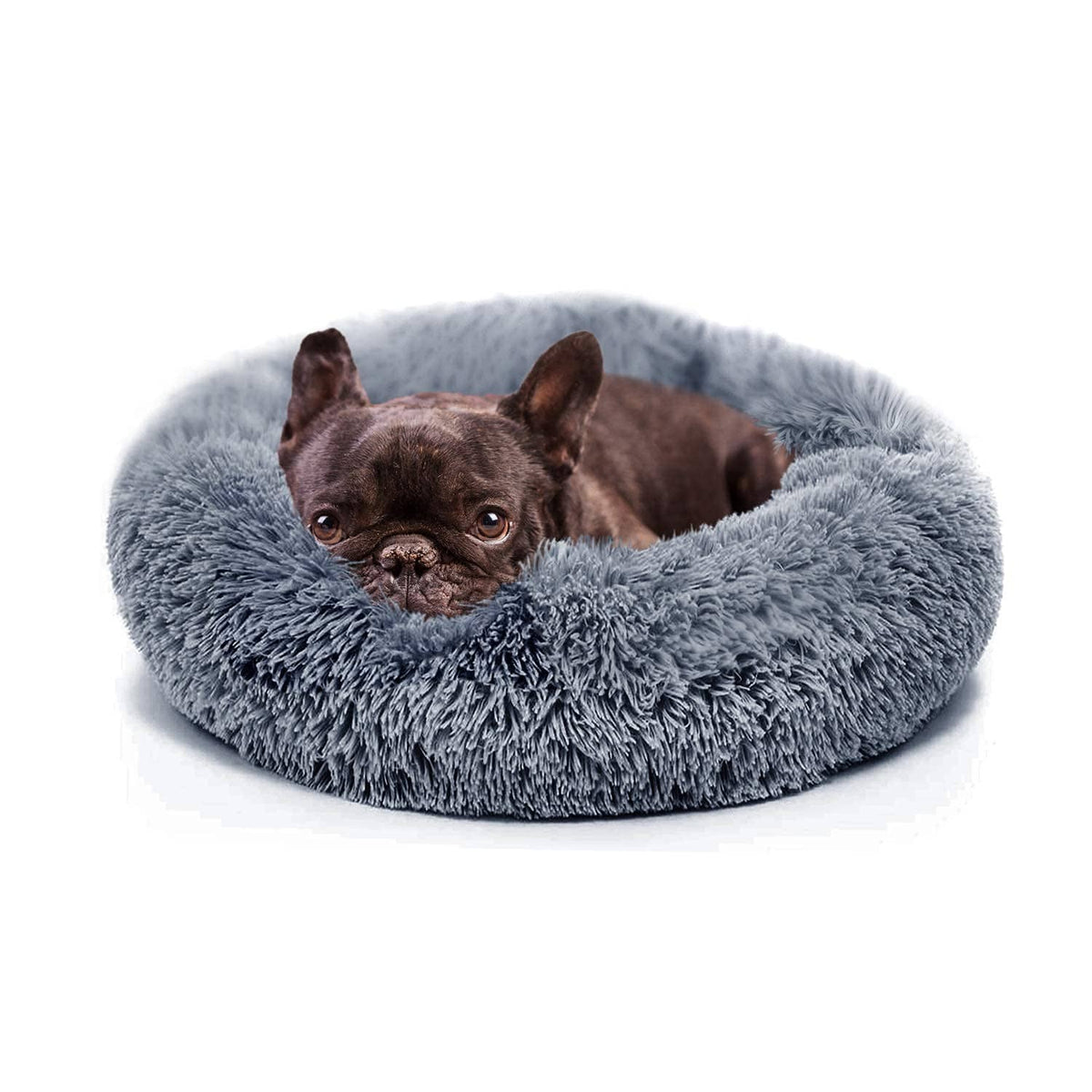 Dark grey round plush dog bed with raised rim, small dog resting inside.
