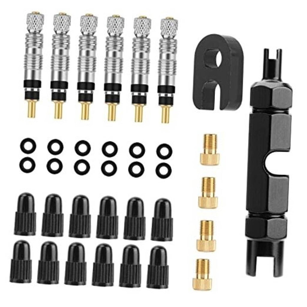 Bicycle valve core set with silver cores, black caps, O-rings, and Schrader adapter tools