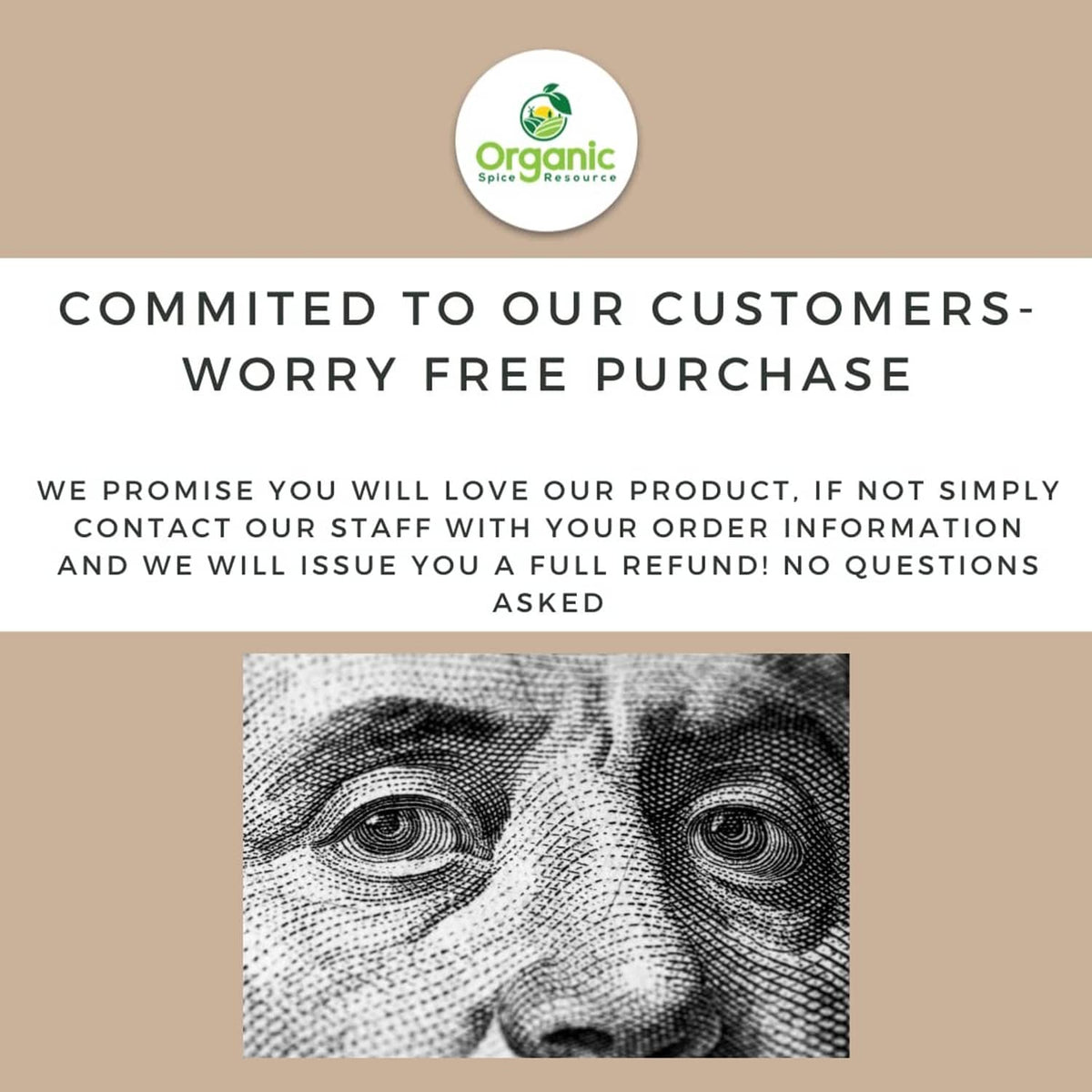 Customer promise infographic with Organic Spice logo badge and text blocks