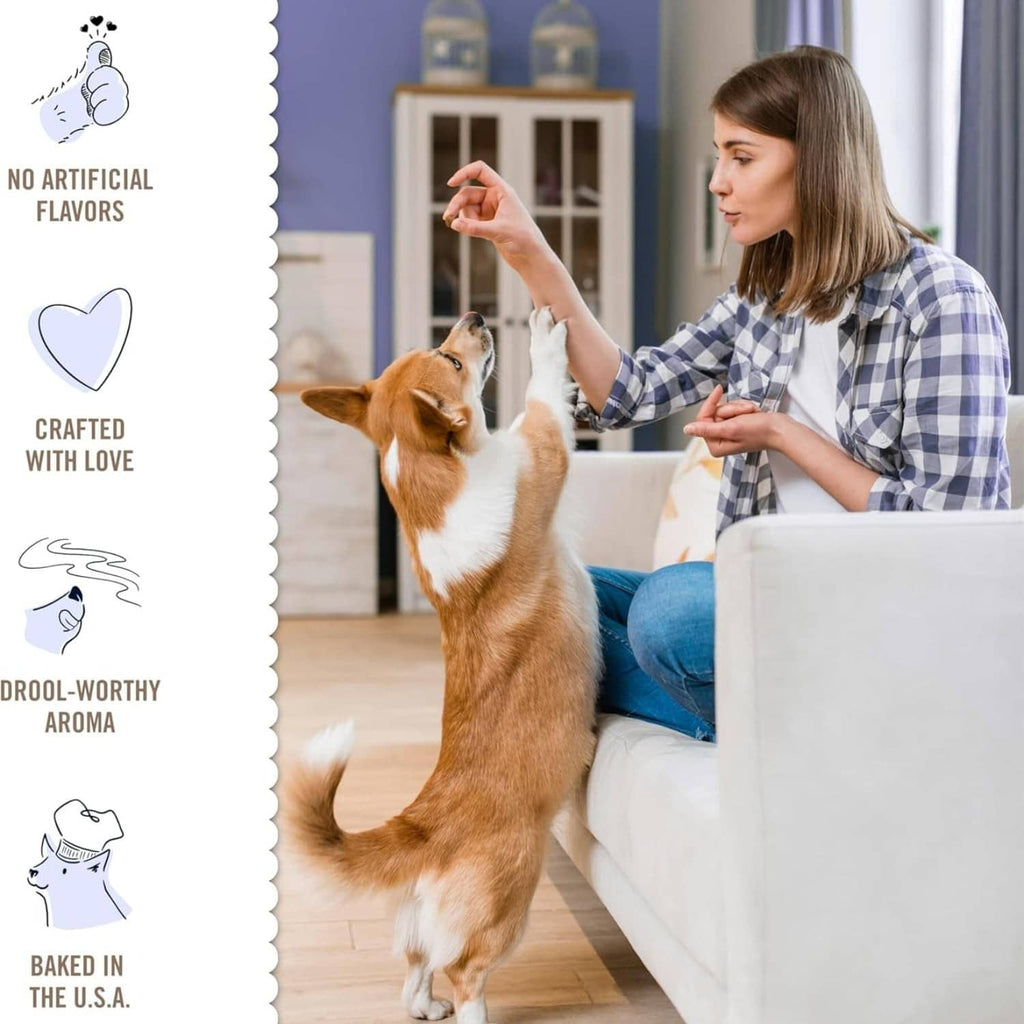 Dog reaching up for a treat held by a person indoors, no artificial flavors callout