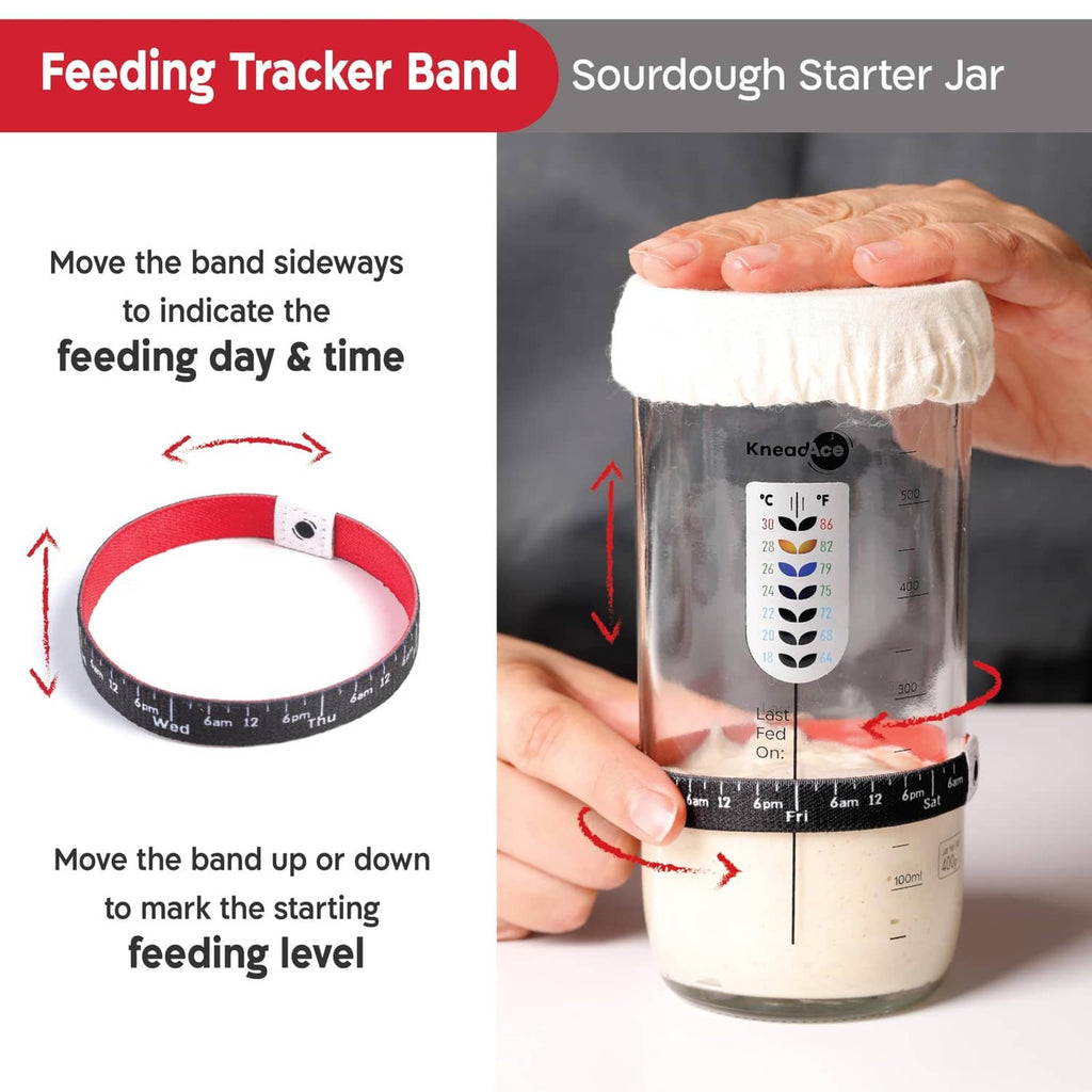 Sourdough starter jar with thermometer panel and hands adjusting the feeding tracker band