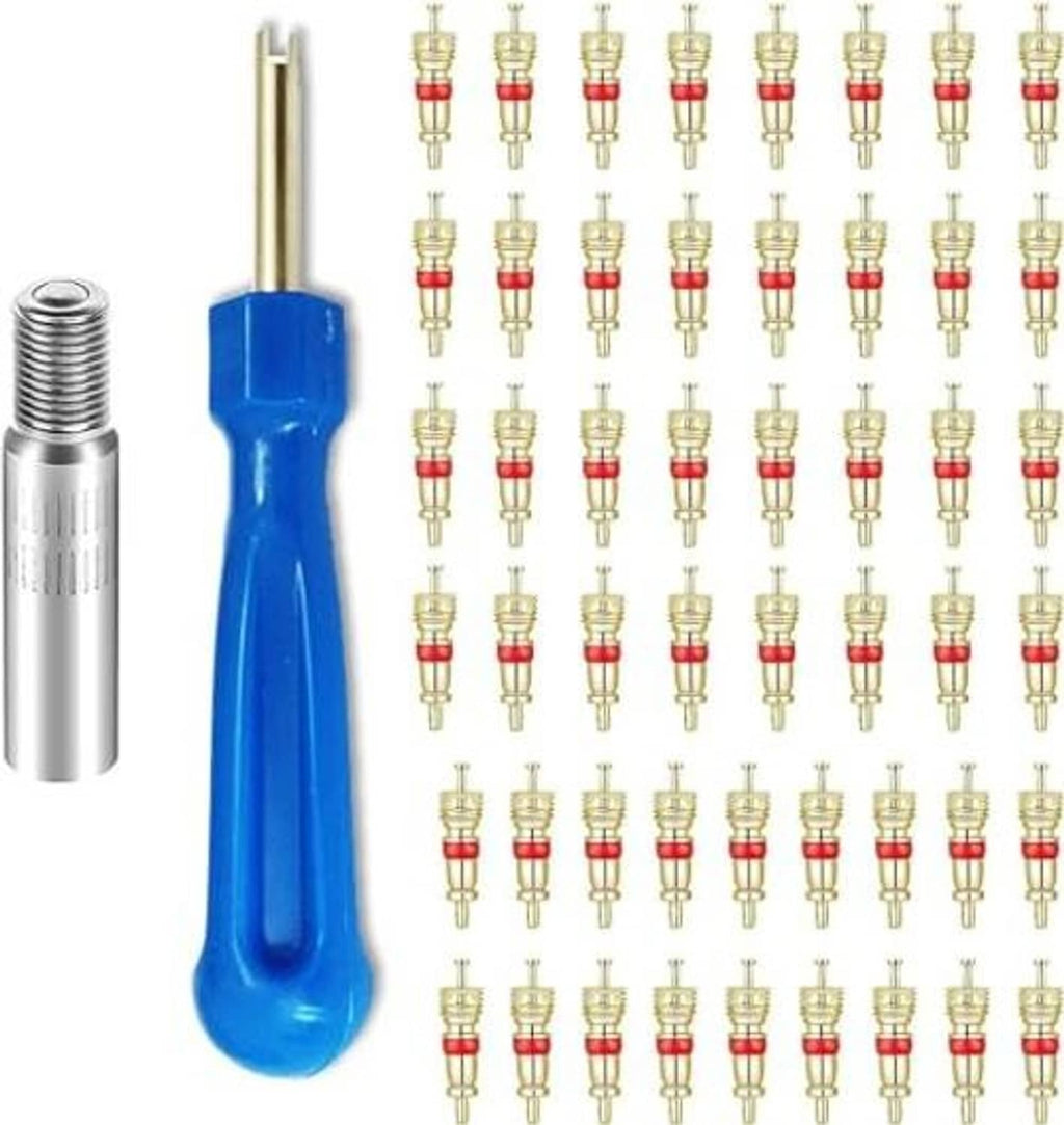 Valve stem removal tool with blue handle and metal shaft, plus assorted brass valve cores