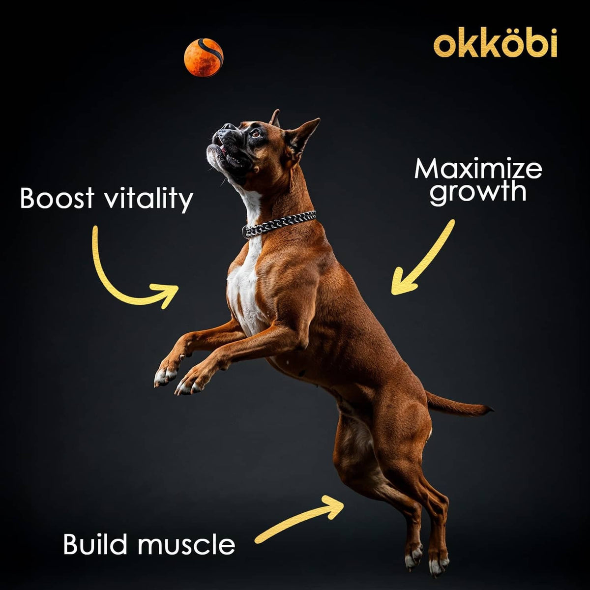 Dog chews can with standing dog and arrows for boost vitality and muscle growth