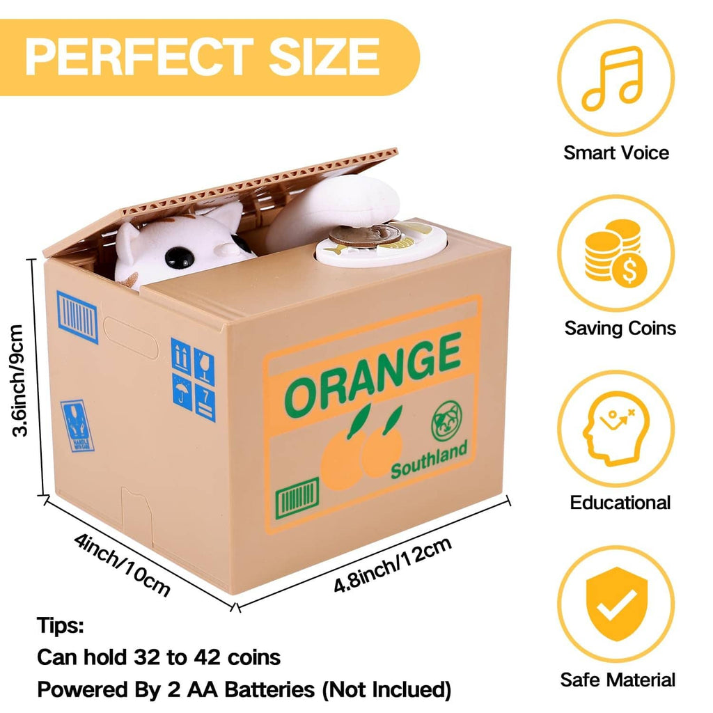 Orange cat coin box piggy bank with open top and visible size dimensions for the box.
