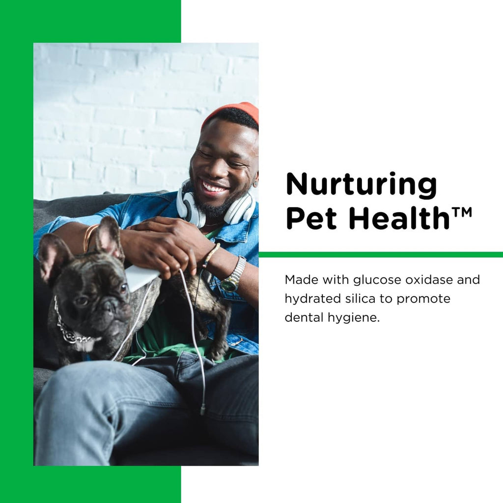 Dog dental care promotional graphic with man and dog
