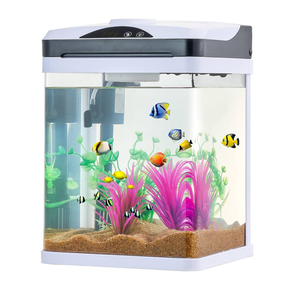 Square clear glass LED aquarium with tropical fish and bright pink plant decor