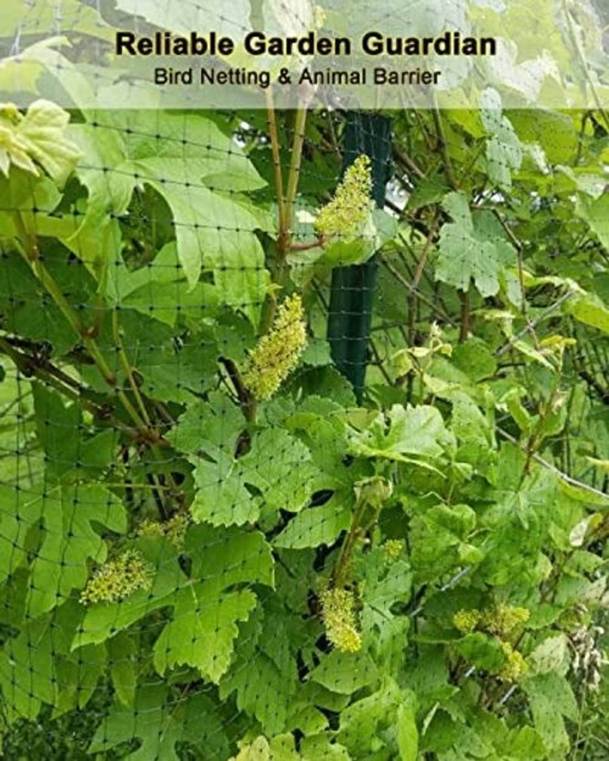 Black square-mesh garden netting barrier draped over leafy plants to deter animals